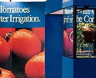 Website and Graphic Design - Leonard Rogers - Sacramento