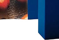 Website and Graphic Design - Leonard Rogers - Sacramento